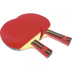 Double Fish Lower Price Raft Pong Racket