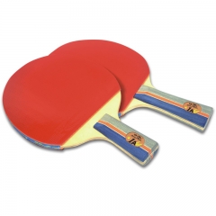 Double Fish Low Price Ping Pong para iniciantes