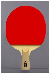 raquete de tênis de mesa ittf borracha madeira